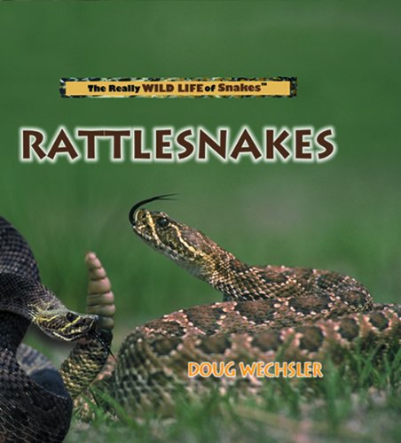 9780823956005: Rattlesnakes