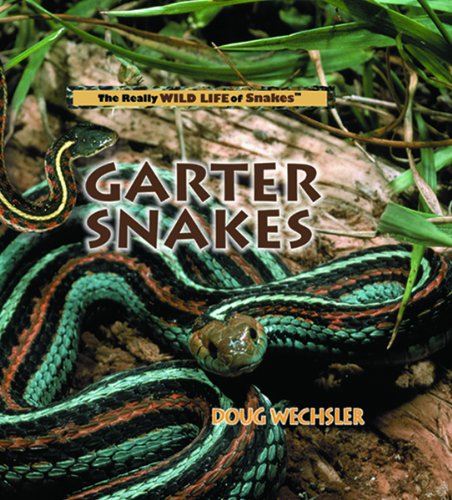 Beispielbild fr Garter Snakes zum Verkauf von Better World Books