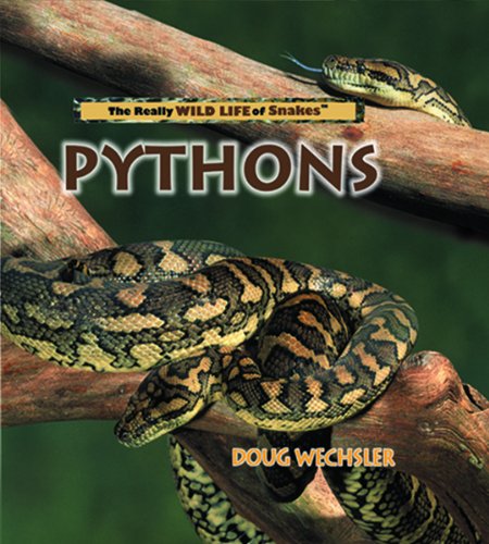 Beispielbild fr Pythons (The Really Wild Life of Snakes) zum Verkauf von SecondSale