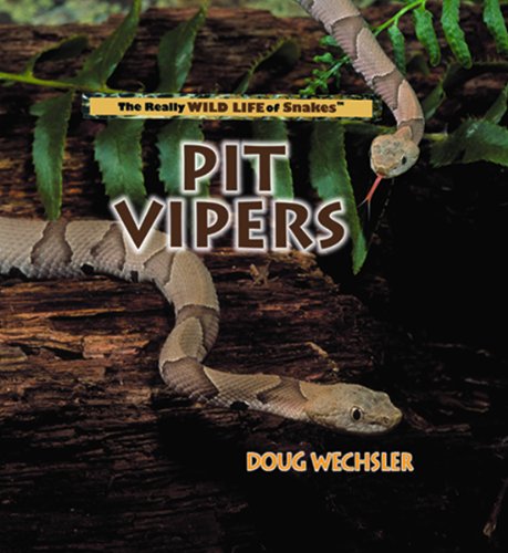 9780823956050: Pit Vipers (The Really Wild Life of Snakes)