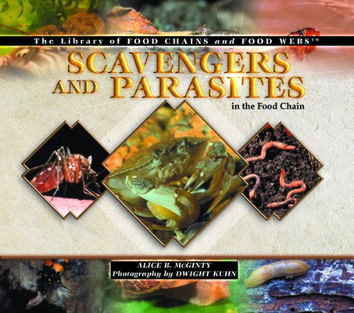 Stock image for Scavengers and Parasites in the Food Chain (The Library of Food Chains for sale by Hawking Books