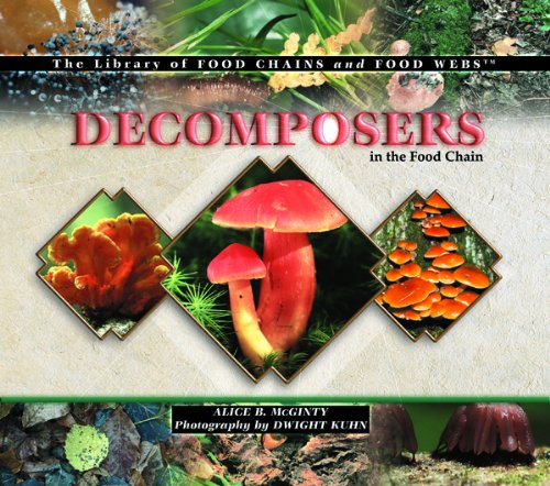 Imagen de archivo de Decomposers in the Food Chain (The Library of Food Chains and Food Webs) a la venta por Big River Books