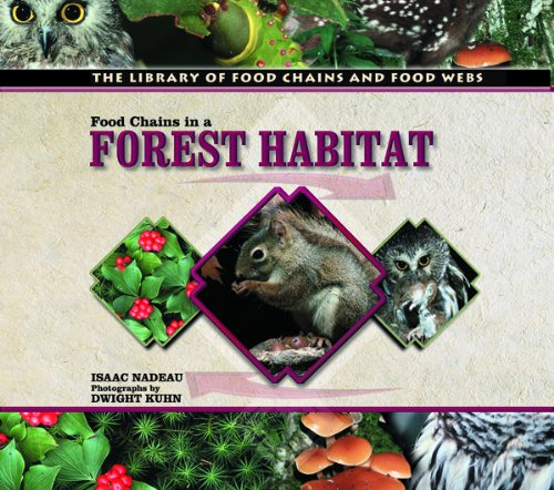 Stock image for Food Chains in a Forest Habitat (The Library of Food Chains and Food Webs) for sale by Irish Booksellers