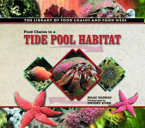 9780823957613: Food Chains in a Tide Pool Habitat (The Library of Food Chains and Food Webs)