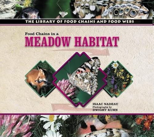 Imagen de archivo de Food Chains in a Meadow Habitat (The Library of Food Chains and Food Webs) a la venta por -OnTimeBooks-