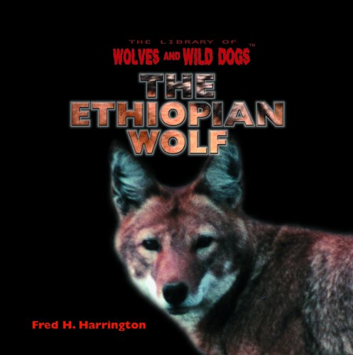 Imagen de archivo de The Ethiopian Wolf a la venta por Better World Books: West