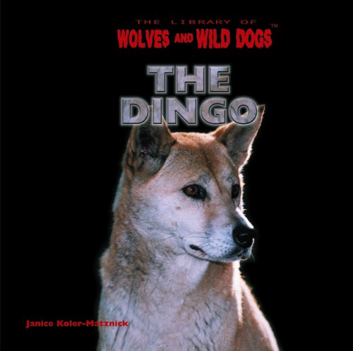 Stock image for The Dingo for sale by ThriftBooks-Dallas