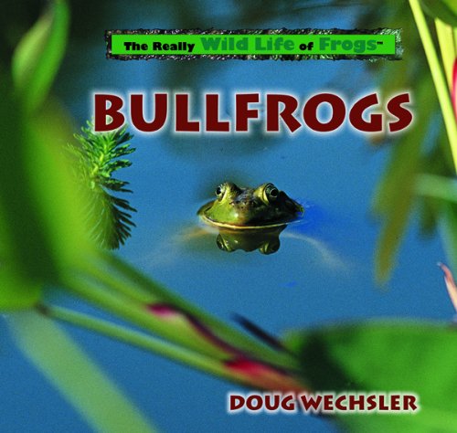 Beispielbild fr Bullfrogs (Wechsler, Doug. Really Wild Life Of Frogs.) zum Verkauf von Library House Internet Sales