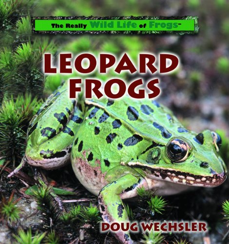 9780823958566: Leopard Frogs