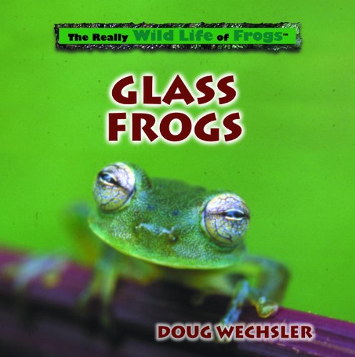 9780823958573: Glass Frogs