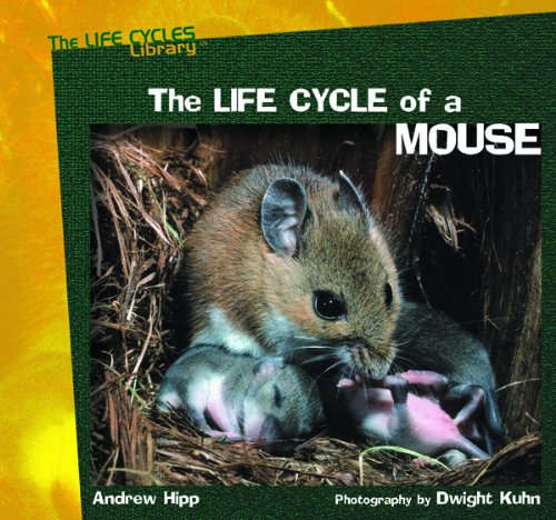 Stock image for The Life Cycle of a Mouse for sale by Better World Books: West