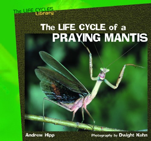 Imagen de archivo de The Life Cycles of a Praying Mantis a la venta por ThriftBooks-Reno