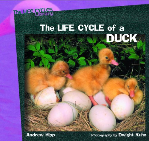 Stock image for The Life Cycle of a Duck (Life Cycles Library) for sale by Irish Booksellers