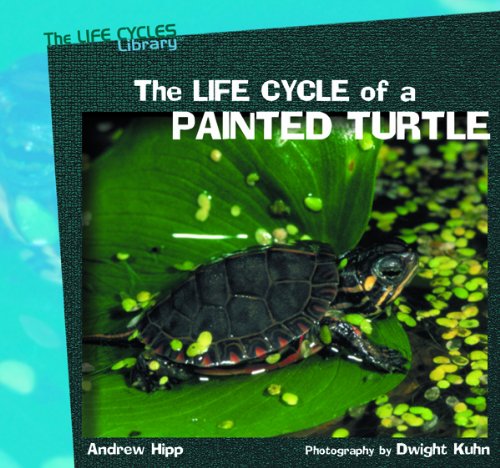 Stock image for The Life Cycle of a Painted Turtle for sale by Better World Books