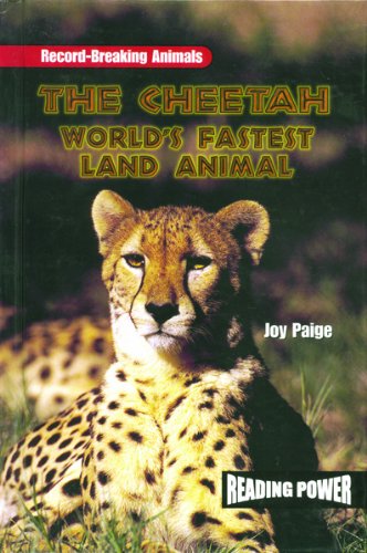 Stock image for The Cheetah for sale by ThriftBooks-Dallas