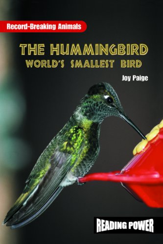 Stock image for The Hummingbird: World's Smallest Bird for sale by ThriftBooks-Atlanta