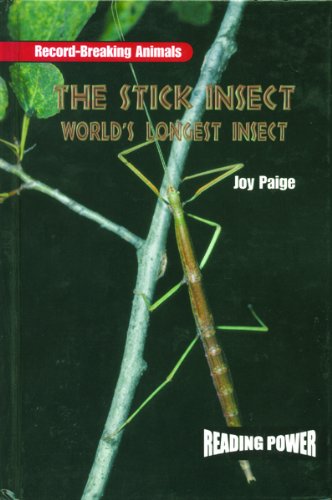 Stock image for The Stick Insect : World's Longest Insect for sale by Better World Books