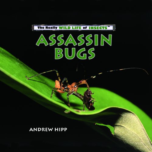 9780823962402: Assassin Bugs (Really Wild Life of Insects)