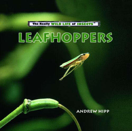 Imagen de archivo de Leafhoppers a la venta por ThriftBooks-Dallas
