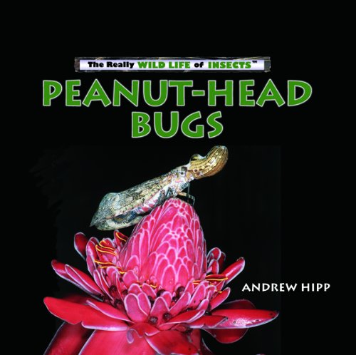 Stock image for Peanut-head Bugs (Really Wild Life of Insects) for sale by HPB-Emerald
