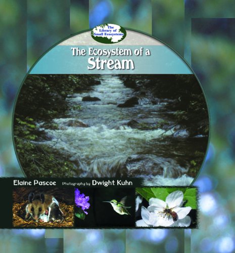 Stock image for The Ecosystem of a Stream for sale by Better World Books