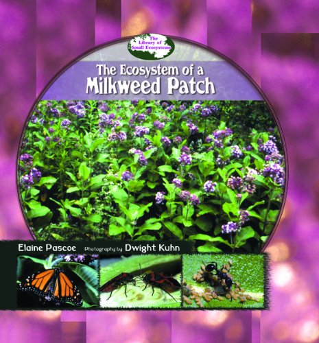Stock image for The Ecosystem of a Milkweed Patch (Library of Small Ecosystems) for sale by SecondSale