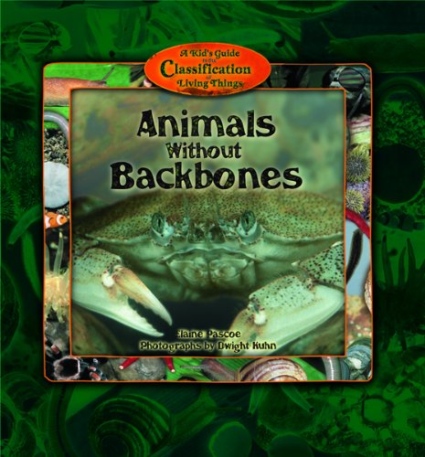 Stock image for Animals Without Backbones (Kid's Guide to the Classification of Living Things) for sale by SecondSale