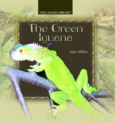 Stock image for The Green Iguana (Lizard Library) for sale by More Than Words