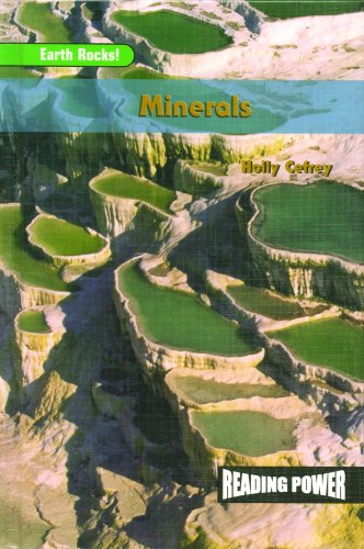 9780823964680: Minerals (Reading Power, Earth Rocks Series)