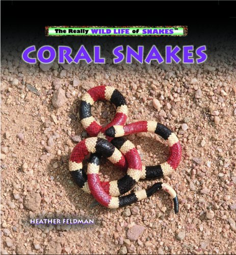 Imagen de archivo de Coral Snakes (The Really Wild Life of Snakes) a la venta por GF Books, Inc.