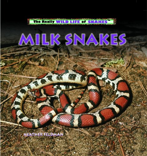 Stock image for Milk Snakes (The Really Wild Life of Snakes) for sale by Reliant Bookstore