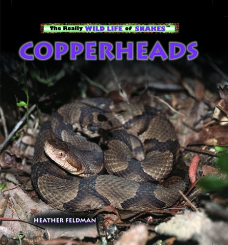 9780823967216: Copperheads (The Really Wild Life of Animals)