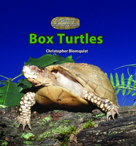 Beispielbild fr Box Turtles zum Verkauf von Better World Books