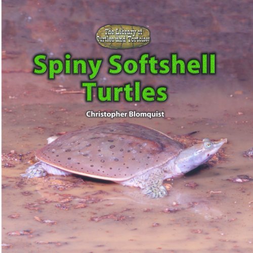 9780823967377: Spiny Soft-Shell Turtles (The Library of Turtles and Tortoises)