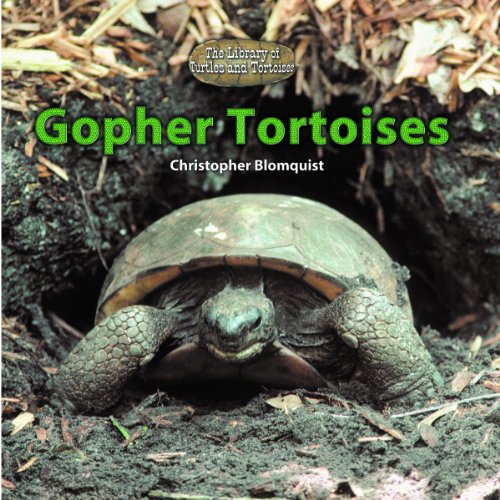 9780823967407: Gopher Tortoises (The Library of Turtles and Tortoises)
