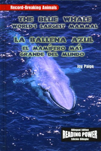 Imagen de archivo de The Blue Whale/La Ballena Azul (Spanish Edition) a la venta por SecondSale