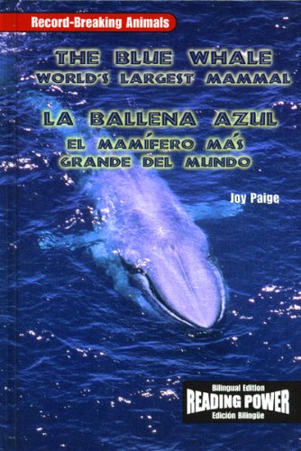 Stock image for The Blue Whale/La Ballena Azul (Spanish Edition) for sale by SecondSale