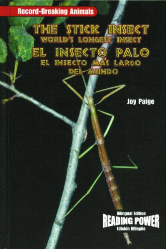 9780823968978: The Stick Insect/El Insecto Palo: World's Longest Insect / El Insecto Mas Largo Del Mundo
