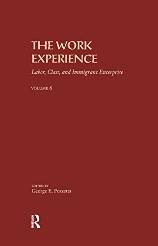 Stock image for The Work Experience : Labor, Class and Immigrant Enterprise for sale by Better World Books