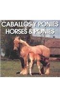 Beispielbild fr Caballos Y Ponies/Horses & Ponies (Spanish Edition) zum Verkauf von SecondSale