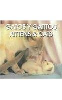 Beispielbild fr Gatos Y Gatitos/Kittens & Cats (Spanish Edition) zum Verkauf von Wonder Book