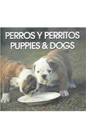 Stock image for Perros Y Perritos/Puppies & Dogs (Spanish Edition) for sale by Wonder Book