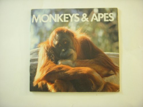 Imagen de archivo de Monkeys & Apes a la venta por Wonder Book