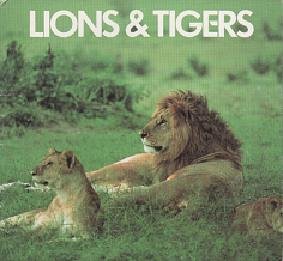 Lions & Tigers (Animal Information Books) (9780824101411) by Elizabeth Elias Kaufman