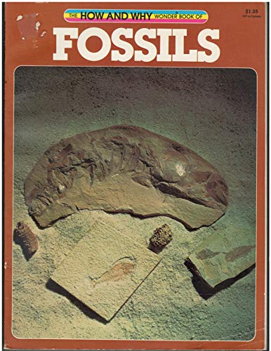 Stock image for The how and why wonder book of fossils (How and why wonder books) for sale by Better World Books: West