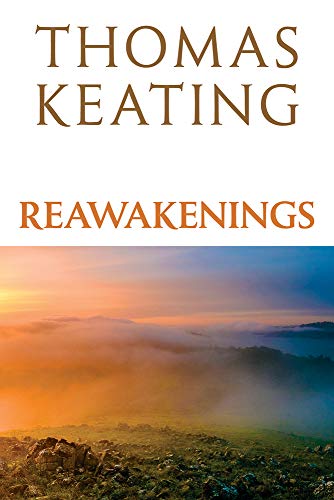 Stock image for Reawakenings for sale by SecondSale