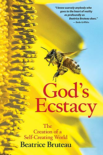 Beispielbild fr God's Ecstacy: The Creation of a Self-Creating World zum Verkauf von WorldofBooks