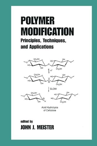 9780824700782: Polymer Modification: Principles, Techniques, and Applications