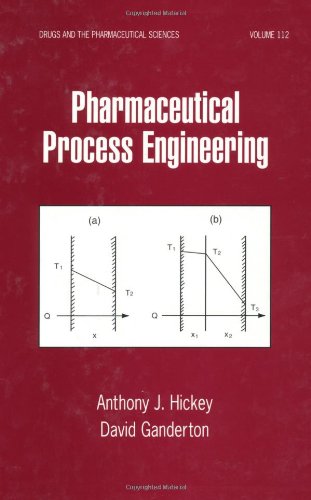 9780824702984: Pharmaceutical Process Engineering (Drugs and the Pharmaceutical Sciences)