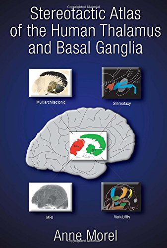 9780824728946: Stereotactic Atlas of the Human Thalamus and Basal Ganglia